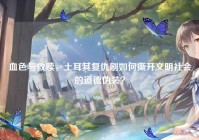 血色与救赎，土耳其复仇剧如何撕开文明社会的道德伪装？