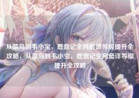 从菜鸟到韦小宝，鹿鼎记全网最细等级提升全攻略，从菜鸟到韦小宝，鹿鼎记全网最详等级提升全攻略