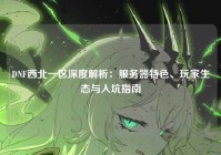 DNF西北一区深度解析：服务器特色、玩家生态与入坑指南