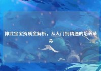 神武宝宝资质全解析，从入门到精通的培养革命