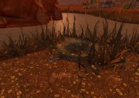 魔兽世界复活节商人怎么找？这里有详细的攻略！