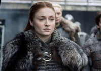 追寻家养霸王攻：一场关于爱与权力的较量