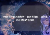 DNF东北一区深度解析：服务器特色、玩家生态与职业选择指南