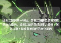 虚拟江湖的第一张脸，笑傲江湖捏脸数据背后的文化密码，虚拟江湖的首颜叙事，解码〈笑傲江湖〉捏脸数据背后的文化基因