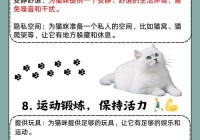 猫咪破永久vip哪里能找到？分享几个靠谱途径！