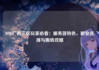 DNF广西三区玩家必看：服务器特色、职业选择与搬砖攻略