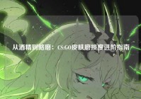 从酒精到略磨：CS:GO皮肤磨损度进阶指南