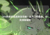 DNF奶爸武器选择全攻略：从入门到精通，打造顶级辅助