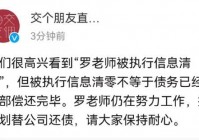 罗永浩回应被执行信息清零