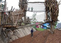 翻滚的木头哪里有？这几个地方你可以找到它！