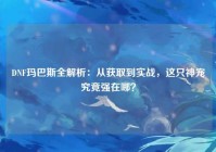 DNF玛巴斯全解析：从获取到实战，这只神宠究竟强在哪？