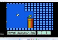 新超级马里奥兄弟攻略：快速通关与高分秘籍