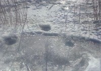 还在为钓大鼠尾鱼发愁吗？这些钓点让你满载而归！