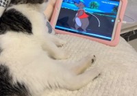 逗比人生：开启你的趣味人生冒险，尽享随机事件