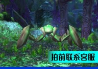 玉牙页岩蛛长什么样子啊？几张高清大图让你看清楚！