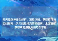 天天酷跑神宠全解析，顶级攻略、获取技巧与实战指南，天天酷跑神宠终极指南，全面解析、获取攻略与实战技巧全掌握