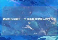 老鼠抱头何解？一个成语揭开中国人的生存哲学