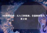 DNF男散打吧：从入门到精通，全面解析格斗家之路