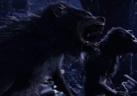 狼人大战铁血战士好看吗？看完这篇影评再决定！