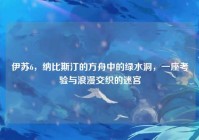 伊苏6，纳比斯汀的方舟中的绿水洞，一座考验与浪漫交织的迷宫