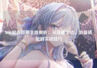 DNF尼古拉斯全面解析：从技能加点、装备搭配到实战技巧