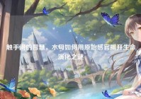 触手间的智慧，水母如何用原始感官揭开生命演化之谜