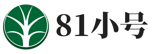 81小号网