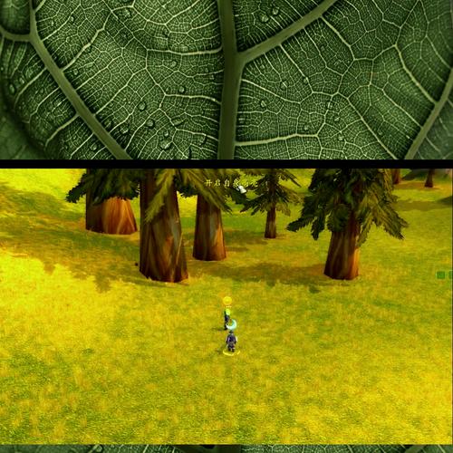 魔兽世界dz焦点嫁祸宏设置攻略，目标焦点一键切换！