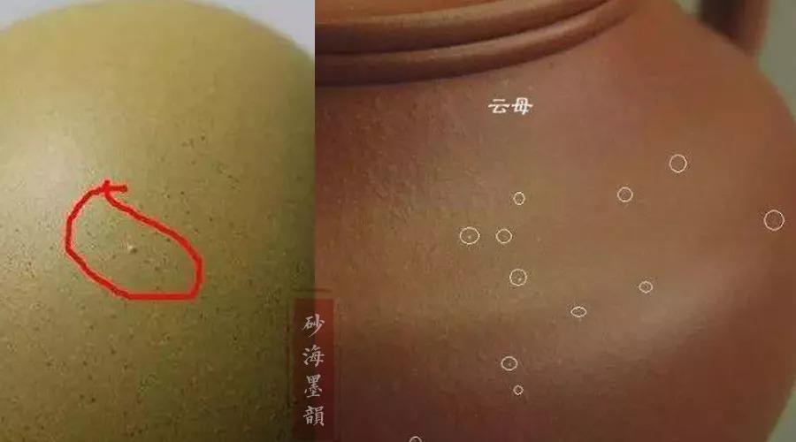 龙太子渡劫剧情怎么过？这份攻略帮你少走弯路！