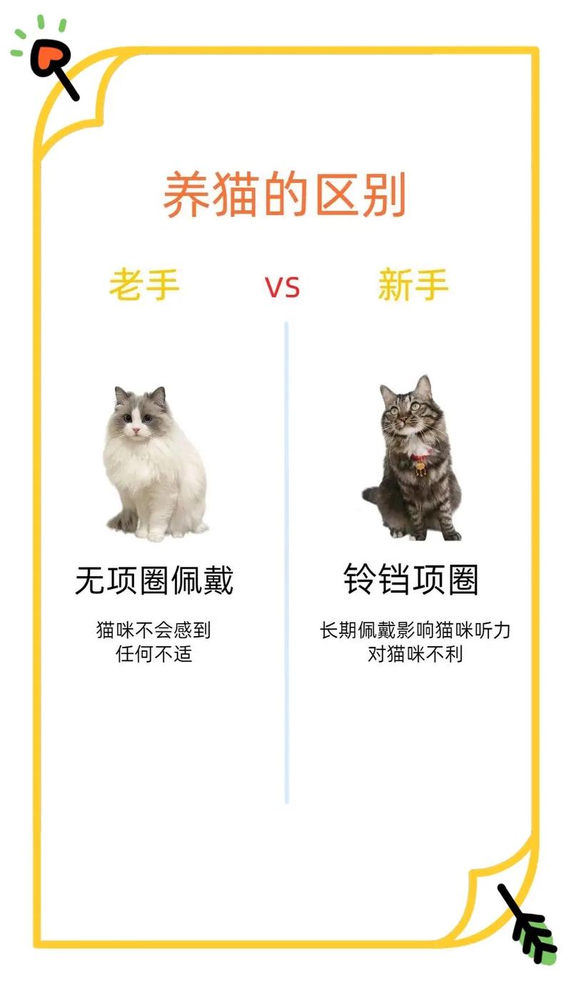 骨头镇秘籍大全有哪些？新手老手必看攻略！