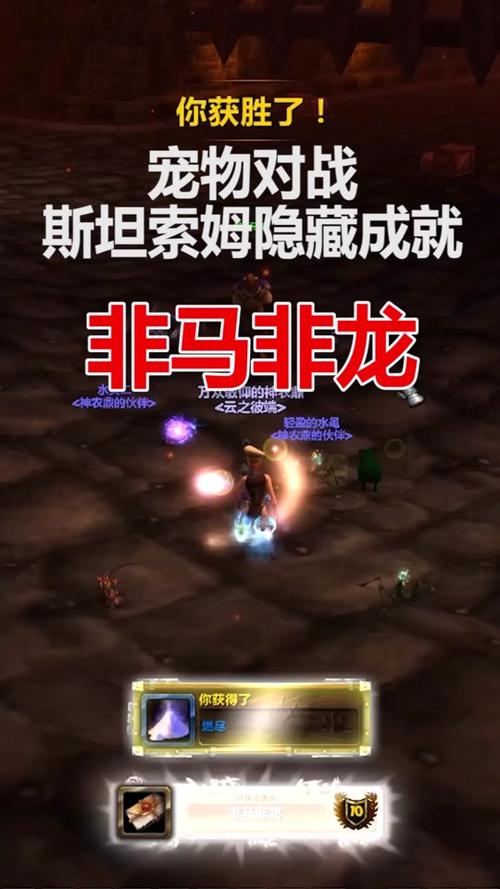 魔兽世界斯坦索姆攻略：老玩家分享速刷路线和技巧