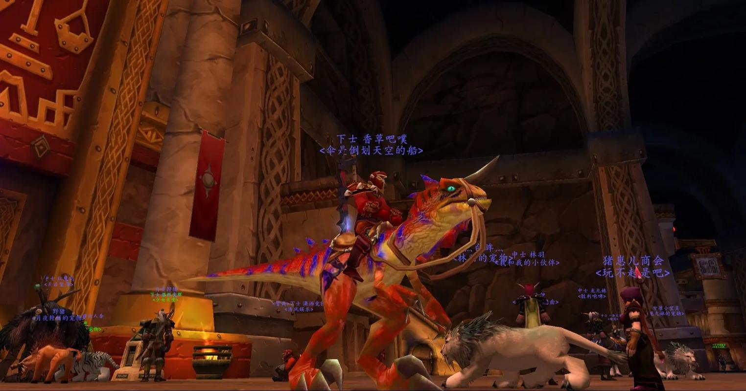 魔兽世界坐骑列表在哪里打开？小白也能轻松上手