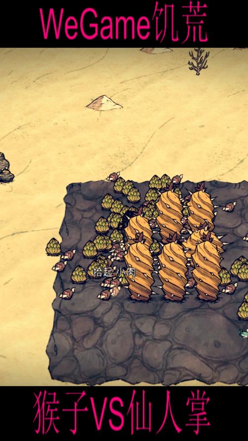 饥荒刷猴子技巧：提升资源获取效率的最佳方法