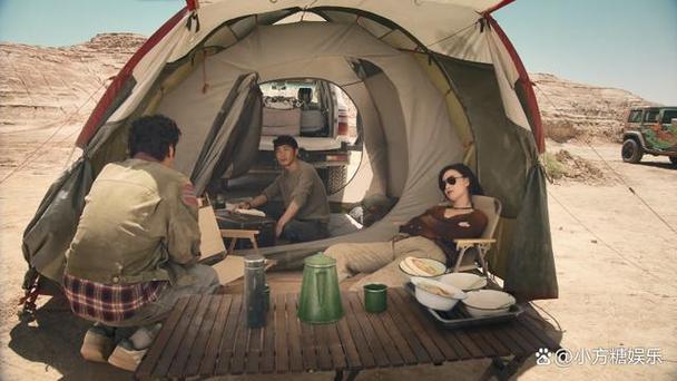 深入揭秘警中警第二部：跌宕打黑剧情，引人入胜的警察故事