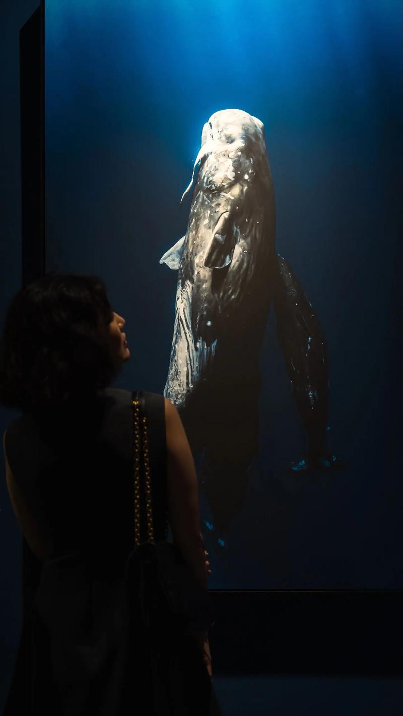 辐射3攻略终极秘籍：S.P.E.C.I.A.L.系统、成就解锁与世界观探索