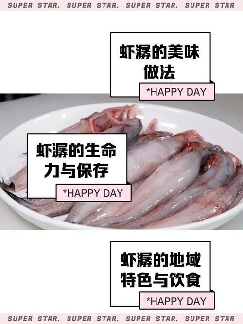 虾歌歌词是什么意思？这首歌到底在唱什么？