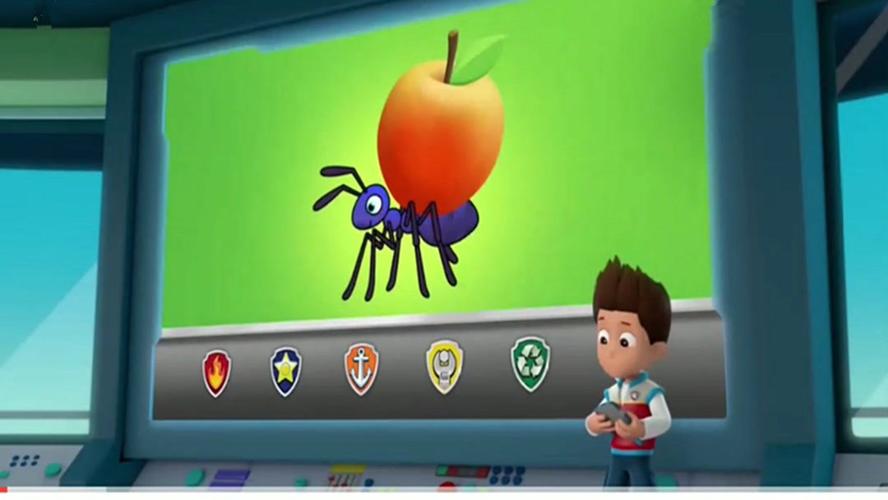 蚂蚁偷蛋糕怎么防止？这些方法简单又有效！