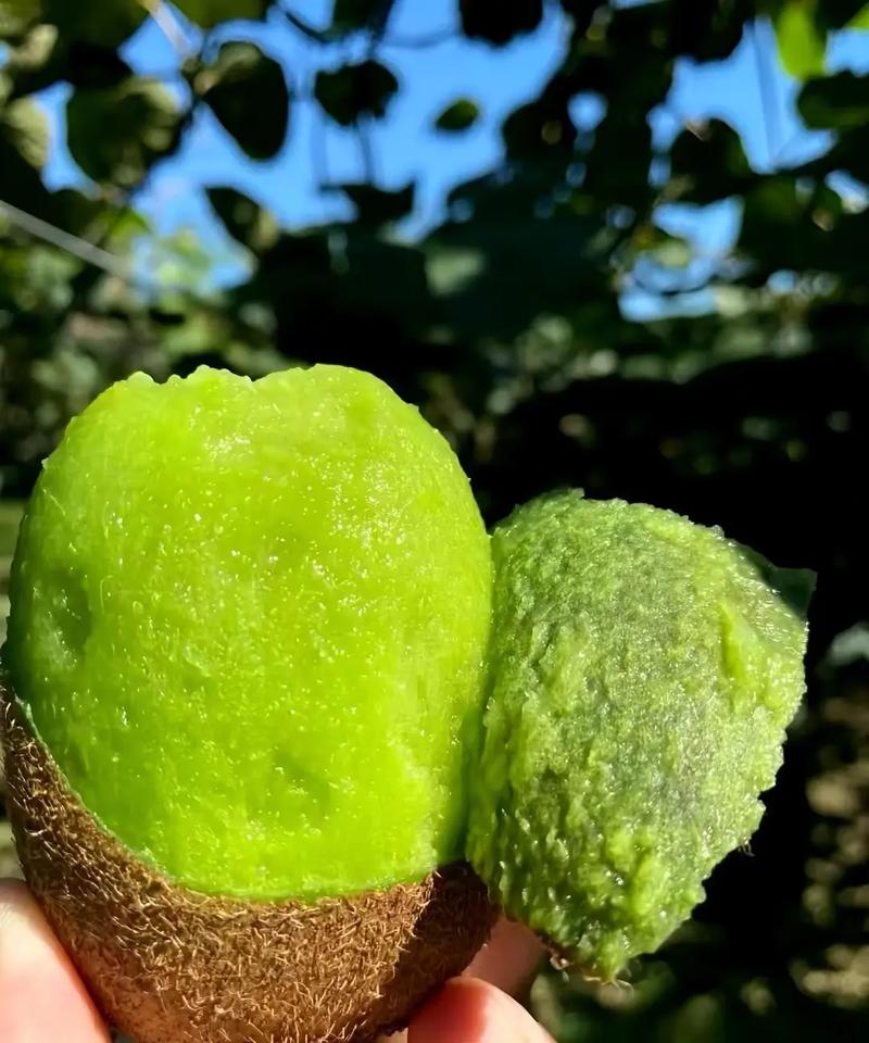 蜜风果园的水果怎么样？产地、口感全面测评！