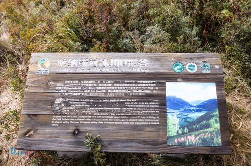 西部荒野2和1有什么区别？对比分析看这篇！