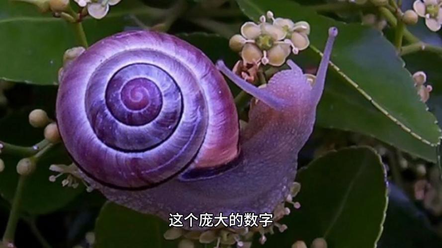 蜗牛外挂网现在还能用吗？亲测结果告诉你答案！