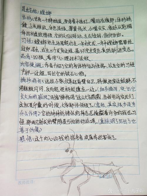 螳螂妖的动机是什么？看完这篇你就全明白了！