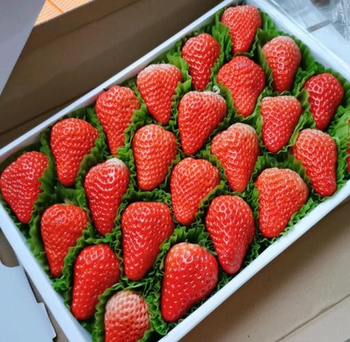 自制草莓奥拉夫难不难？手把手教你快速搞定！