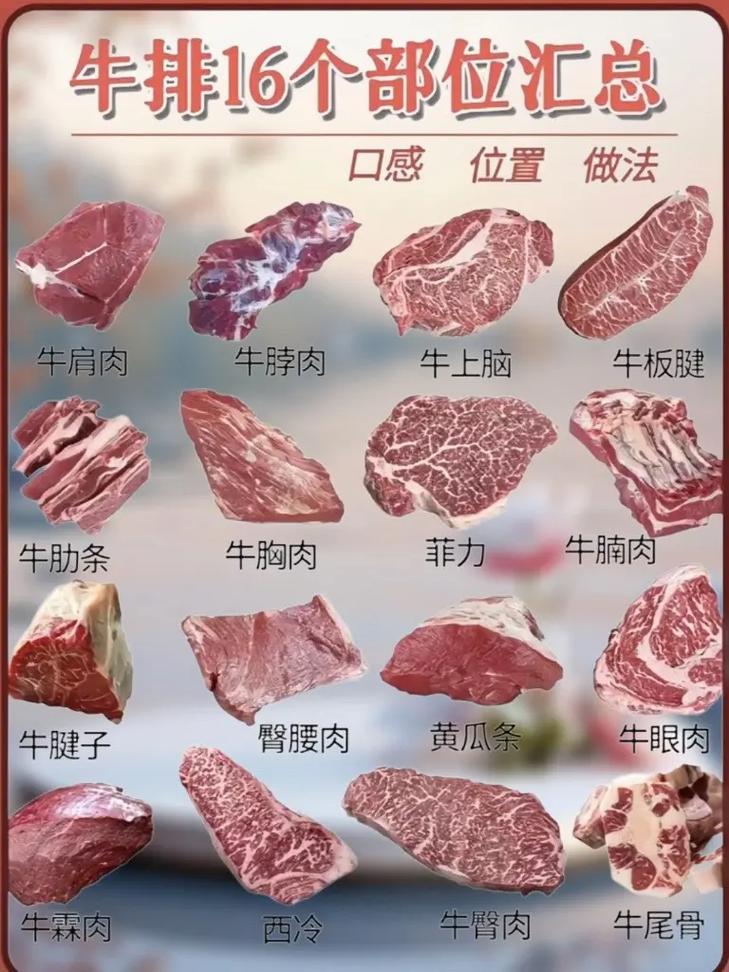 肉天赋厉害吗？看完这篇你就知道该怎么选！