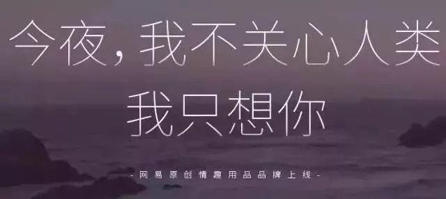 网易被攻击怎么办？官方回应和解决办法来了！