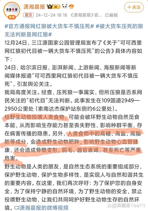 紫狼最新消息，你想知道的都在这！