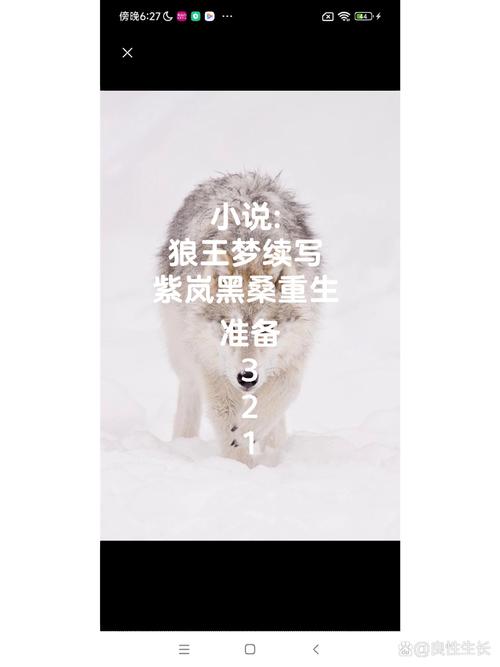 紫狼最新消息，你想知道的都在这！