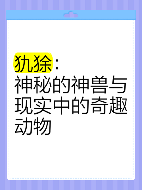 犰狳空间跟其他空间比，哪个更好用？