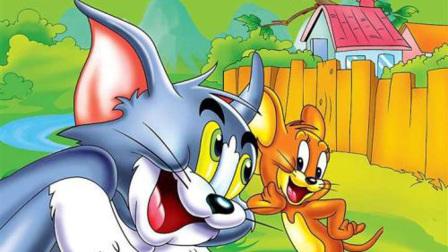 码头老鼠的天敌是什么？一个视频带你看明白！