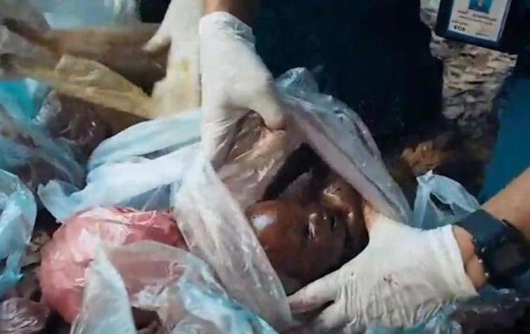 真实的迈阿密僵尸事件：揭秘事件的来龙去脉