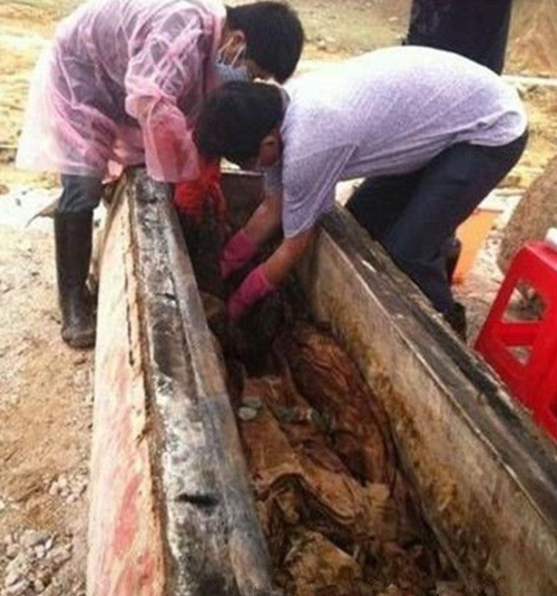 真实的迈阿密僵尸事件：揭秘事件的来龙去脉